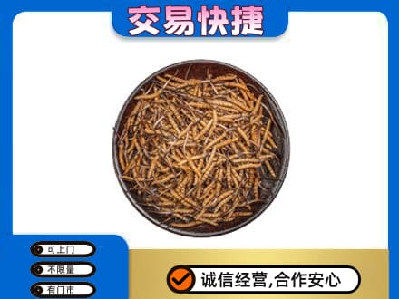 徐州高价回收散虫草