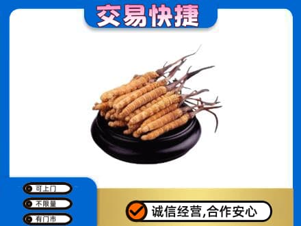 徐州回收冬虫夏草多少钱每克